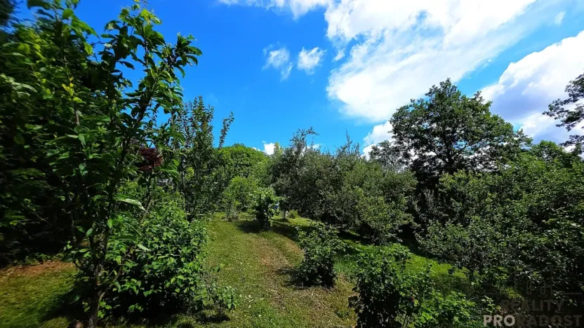 Prodej chaty, Osvětimany, 50 m2