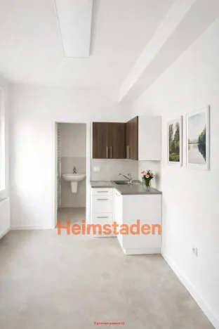 Pronájem obchodního prostoru, Havířov - Město, Dělnická, 41 m2
