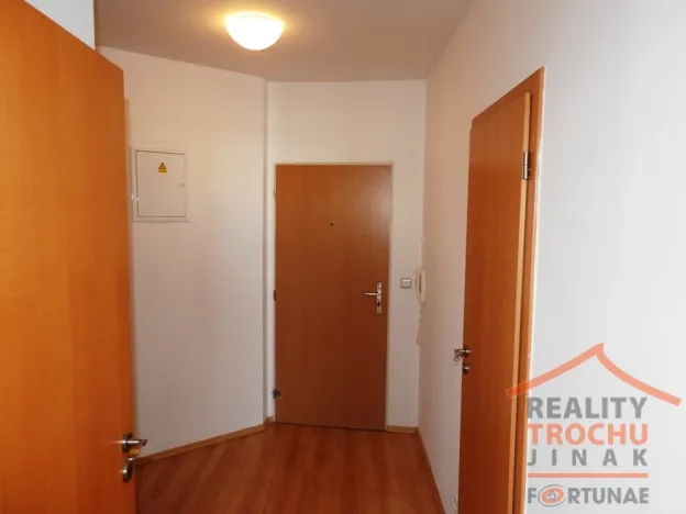 Pronájem bytu 1+kk, Hradec Králové, Palachova, 36 m2