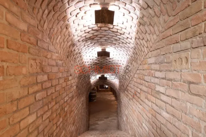 Prodej vinného sklepa, Bořetice, 120 m2
