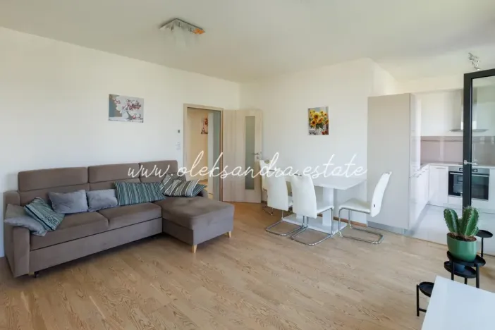 Pronájem bytu 2+kk, Praha - Žižkov, Olšanská, 61 m2