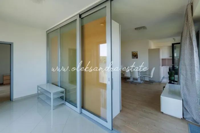 Pronájem bytu 2+kk, Praha - Žižkov, Olšanská, 61 m2