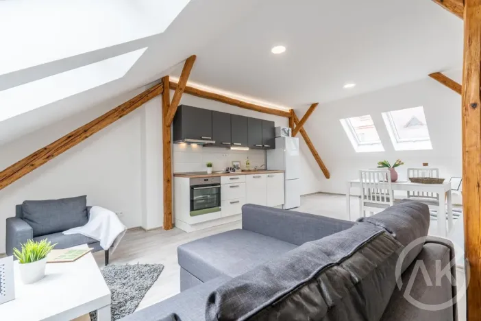 Pronájem bytu 1+kk, Ostrava - Vítkovice, Erbenova, 45 m2