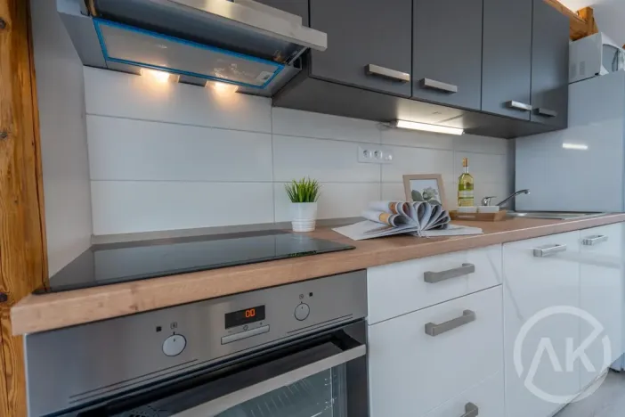 Pronájem bytu 1+kk, Ostrava - Vítkovice, Erbenova, 45 m2