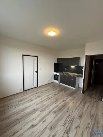 Pronájem bytu 1+1, Chomutov, 17. listopadu, 35 m2