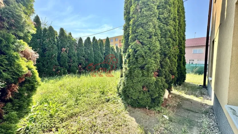 Pronájem bytu 3+kk, Staré Město, Brněnská, 71 m2
