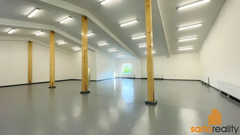 Pronájem obchodního prostoru, Ústí nad Labem, Žižkova, 420 m2