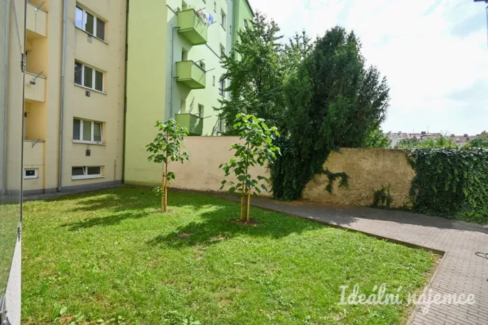 Pronájem bytu 2+kk, Brno, Ypsilantiho, 45 m2