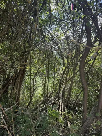 Prodej rodinného domu, Holedeč - Stránky, 90 m2