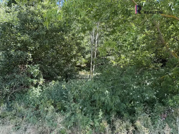 Prodej rodinného domu, Holedeč - Stránky, 90 m2