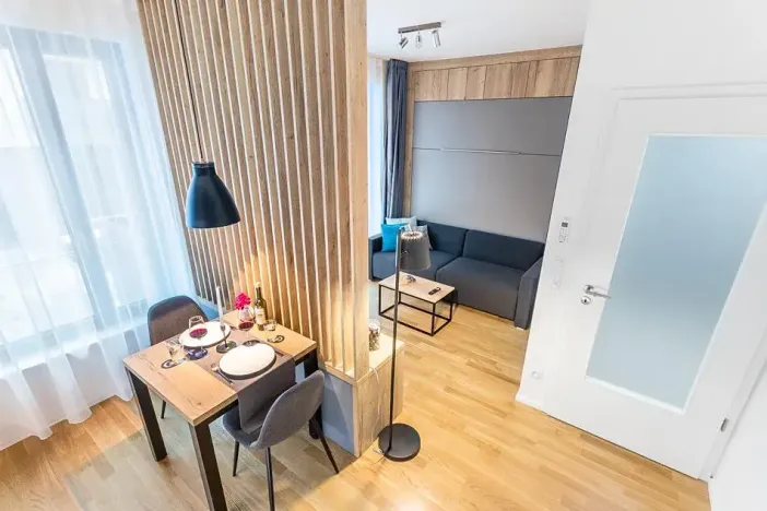Pronájem bytu 1+kk, Praha - Žižkov, Seifertova, 29 m2