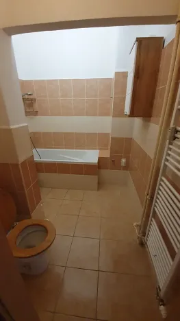 Pronájem bytu 1+1, Praha - Smíchov, Radlická, 39 m2