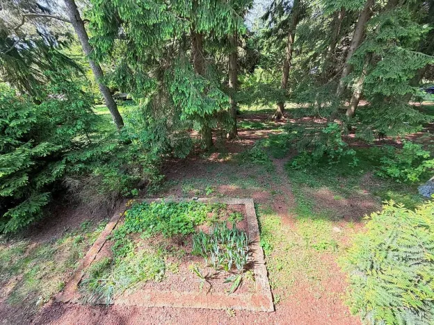 Prodej chaty, Borová, 53 m2