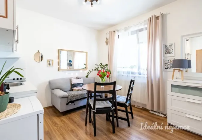 Pronájem bytu 1+kk, Praha - Hostivař, Vladycká, 28 m2