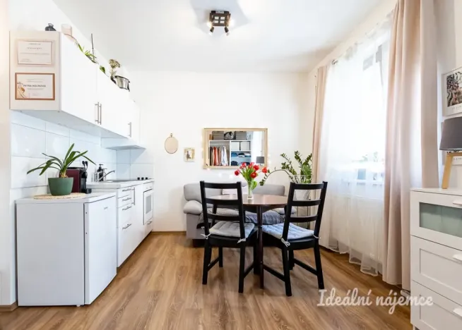 Pronájem bytu 1+kk, Praha - Hostivař, Vladycká, 28 m2