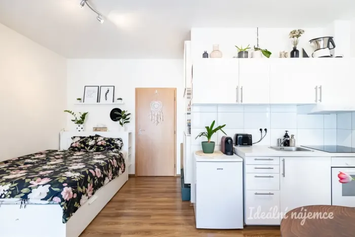 Pronájem bytu 1+kk, Praha - Hostivař, Vladycká, 28 m2