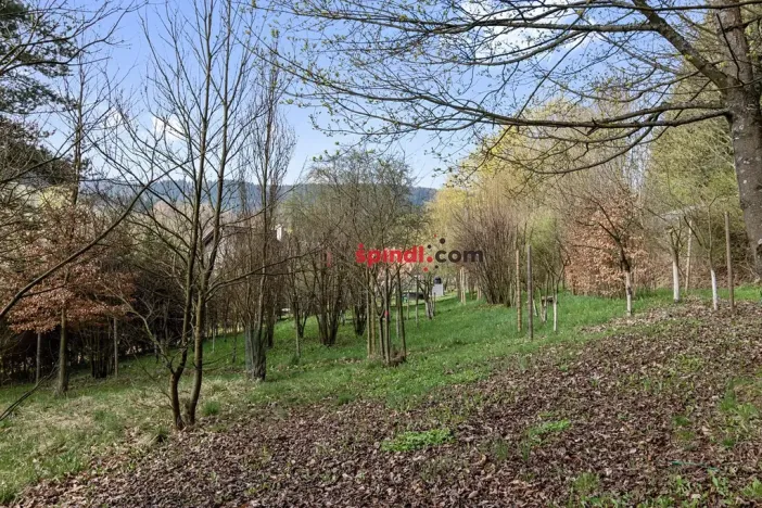 Prodej rodinného domu, Chvaleč, 188 m2