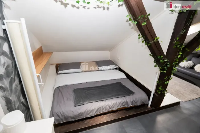 Pronájem bytu 2+kk, Praha - Žižkov, Čajkovského, 45 m2