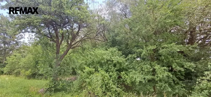 Prodej lesa, Rožmitál pod Třemšínem, 3871 m2