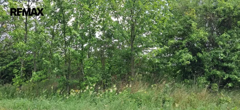 Prodej lesa, Rožmitál pod Třemšínem, 3871 m2