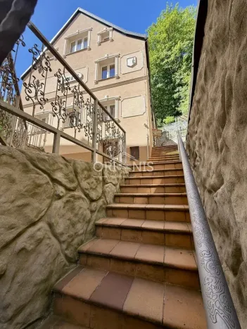 Prodej ubytování, Karlovy Vary, Zámecký vrch, 351 m2
