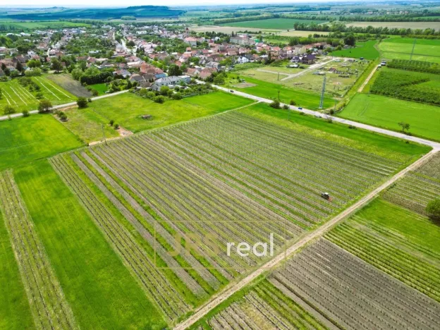 Prodej pozemku, Březí, 4926 m2