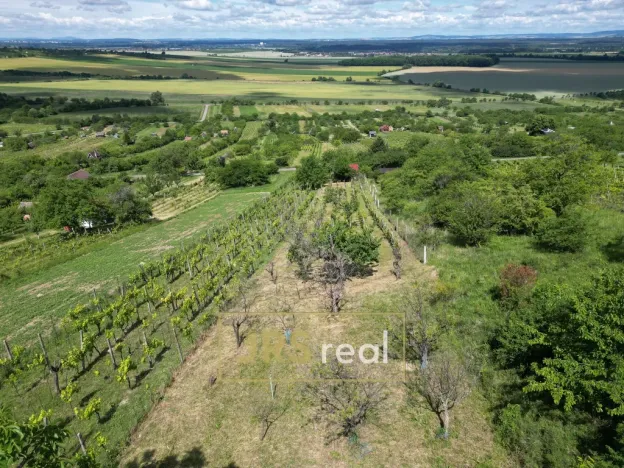 Prodej chaty, Strážnice, 23 m2
