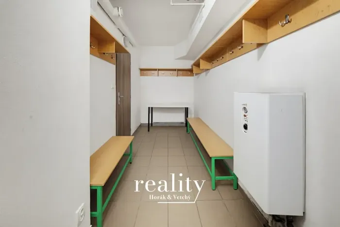 Prodej obchodního prostoru, Jihlava, Buková, 234 m2