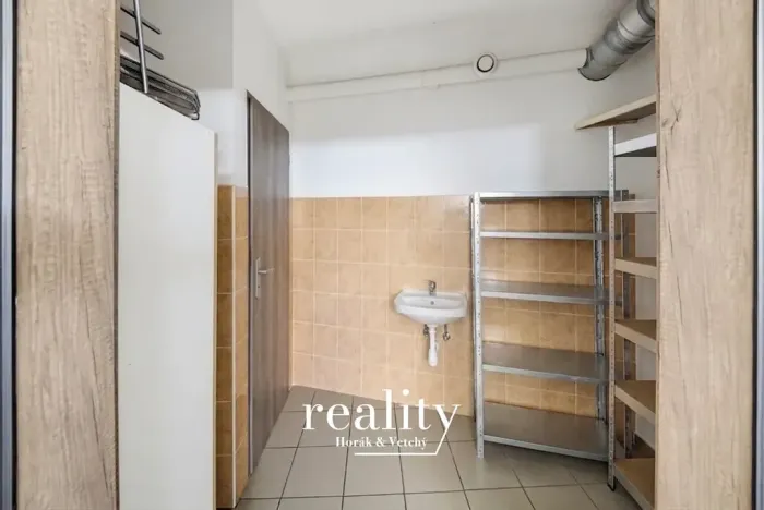 Prodej obchodního prostoru, Jihlava, Buková, 234 m2