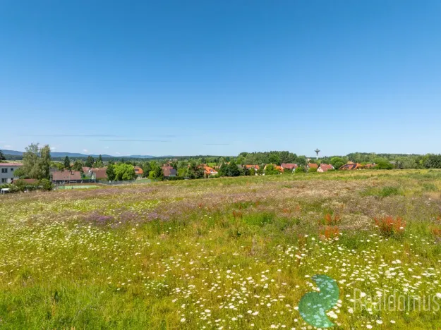 Prodej pozemku pro bydlení, Litvínovice - Šindlovy Dvory, 1006 m2