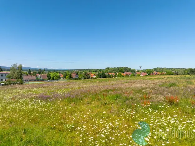 Prodej pozemku pro bydlení, Litvínovice - Šindlovy Dvory, 1010 m2