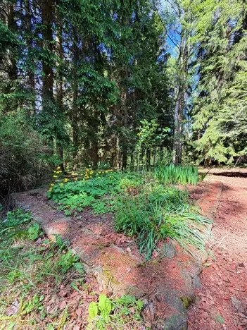 Prodej chaty, Borová, 53 m2