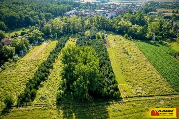Prodej pole, Znojmo, 2970 m2
