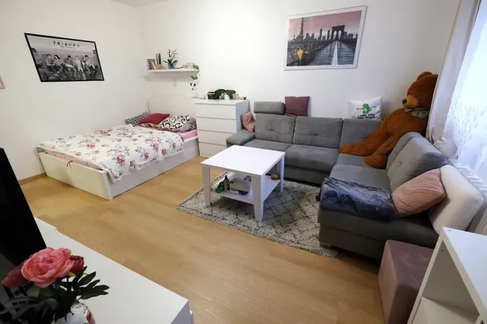 Pronájem bytu 1+1, Uherský Brod, Družstevní, 38 m2