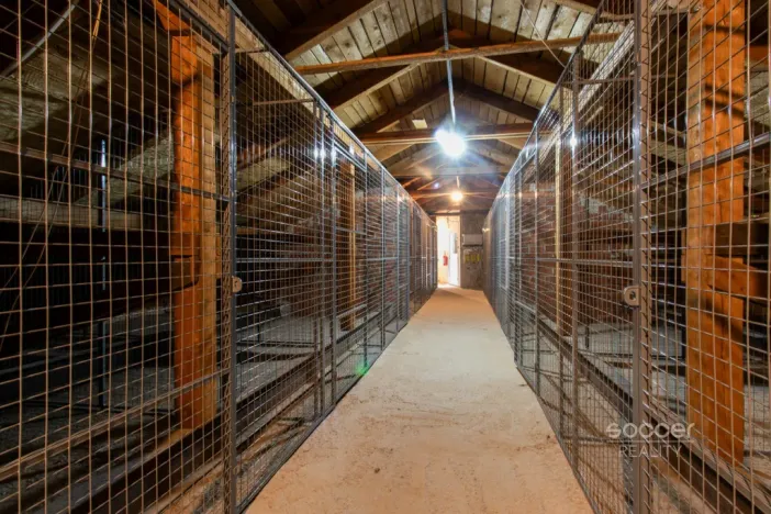 Pronájem bytu 1+kk, Praha - Suchdol, Suchdolské náměstí, 40 m2