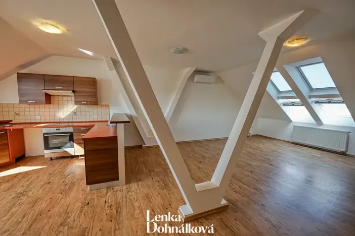 Pronájem bytu 3+kk, Hodonín, 115 m2