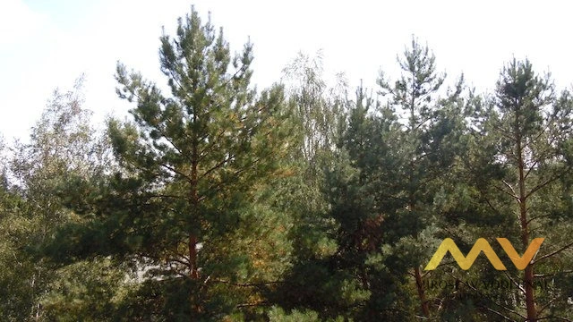 Pronájem bytu 1+kk, Hradec Králové - Slezské Předměstí, Severní, 30 m2