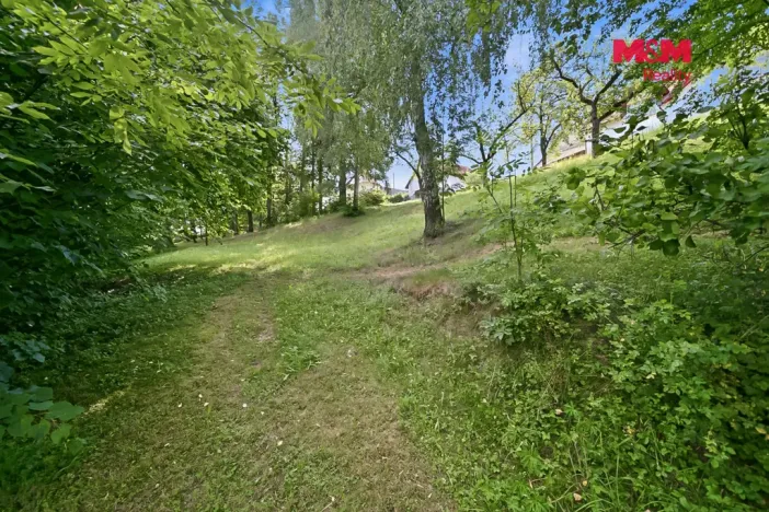 Prodej pozemku pro bydlení, Vidlatá Seč, 1032 m2