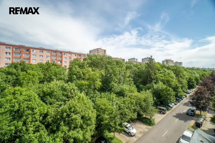 Prodej bytu 1+kk, Praha - Záběhlice, Mikanova, 26 m2