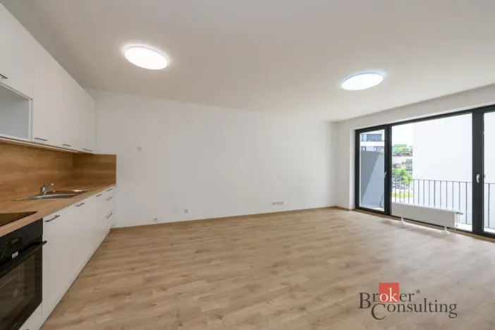 Pronájem bytu 2+kk, Plzeň - Jižní Předměstí, Železná, 60 m2