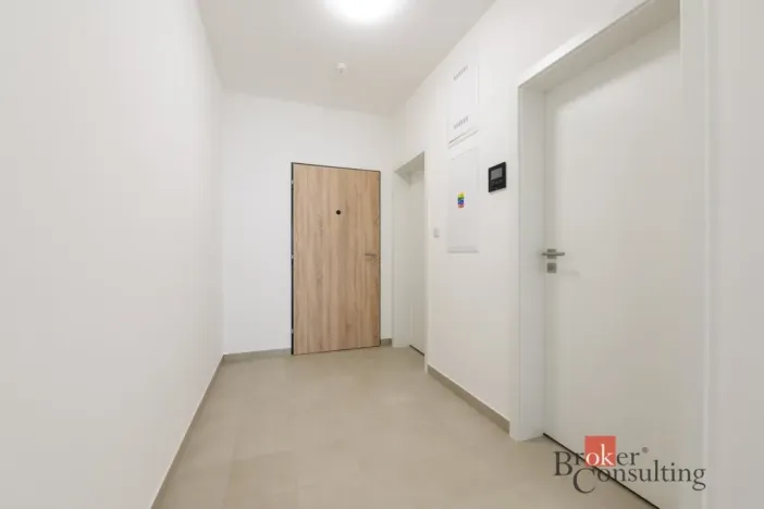 Pronájem bytu 2+kk, Plzeň - Jižní Předměstí, Železná, 60 m2
