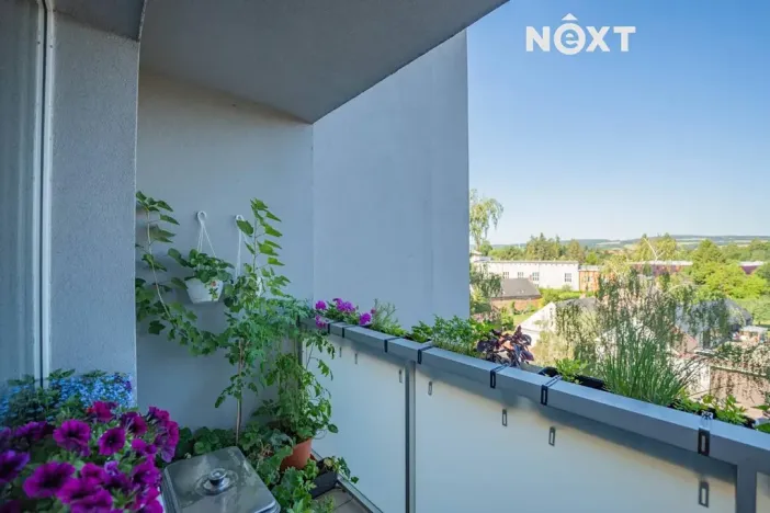Prodej bytu 2+1, Mohelnice, nám. Kosmonautů, 56 m2