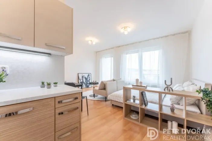 Prodej bytu 1+kk, Praha - Hloubětín, Nademlejnská, 38 m2