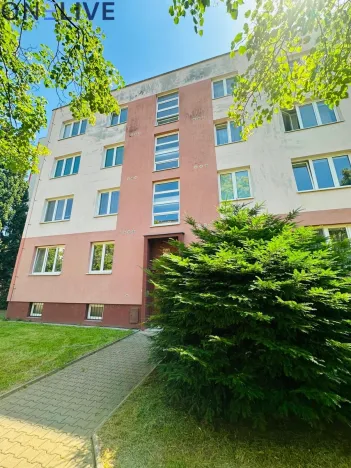 Pronájem bytu 2+1, Plzeň, Brojova, 55 m2