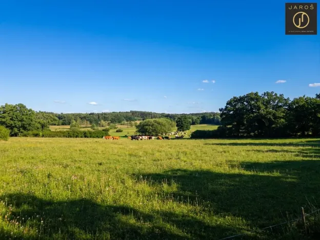 Prodej pozemku pro bydlení, Mirotice - Bořice, 10784 m2