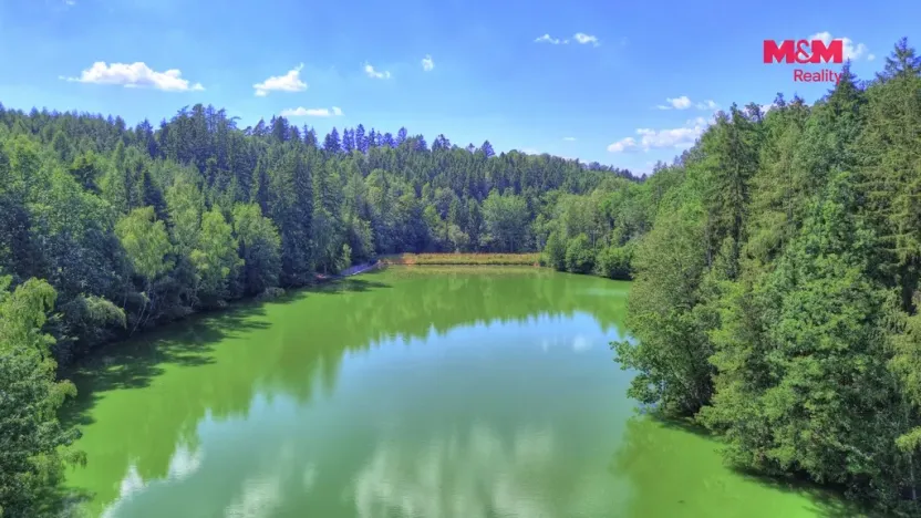 Prodej lesa, Ohnišov - Zákraví, 32996 m2