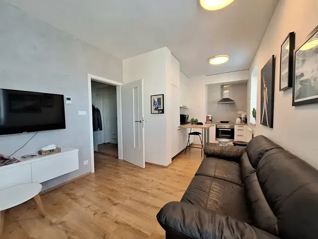 Pronájem bytu 1+kk, Brno, Přírodní, 35 m2