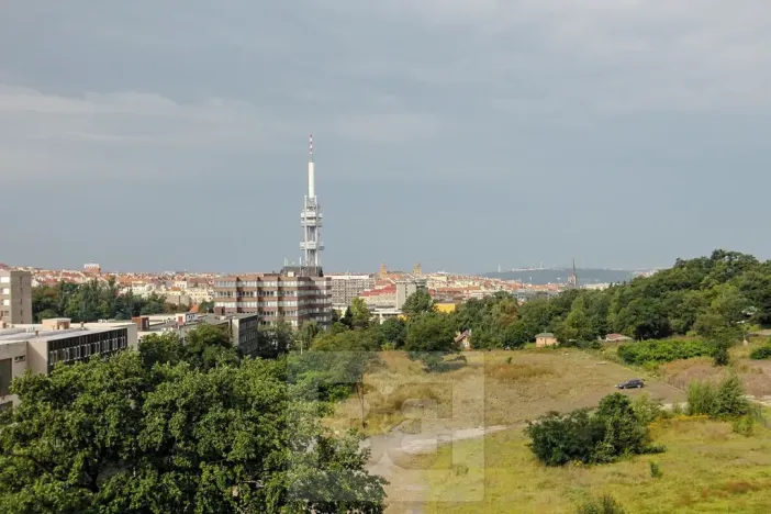 Pronájem bytu 2+kk, Praha - Žižkov, Pitterova, 63 m2
