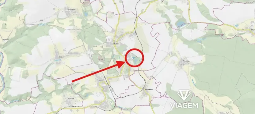Prodej lesa, Břasy, 3632 m2