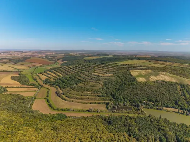 Prodej rodinného domu, Boleradice, 105 m2